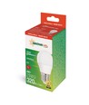 E27 4W LED kogellamp - Mat glas