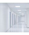 60x60 LED paneel, 30W/40W/48W - CCT, 120lm/W, 5 jaar garantie, witte rand