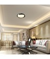 48W LED plafondlamp met afstandsbediening - 3-in-1 CCT, dimbaar, Ø50cm, zwart/grijs design