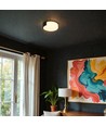 48W LED decoratieve plafondlamp - Ø45cm, 3-in-1 CCT, dimbaar, zwart, incl. afstandsbediening