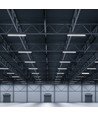 120cm 36W waterdichte complete LED-armatuur - IP65, CREE, 6500K, 6 jaar garantie