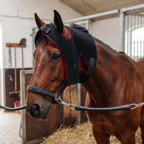 Roodlichttherapie kap voor paarden - Infrarood en rood licht, incl. batterij & powerbank