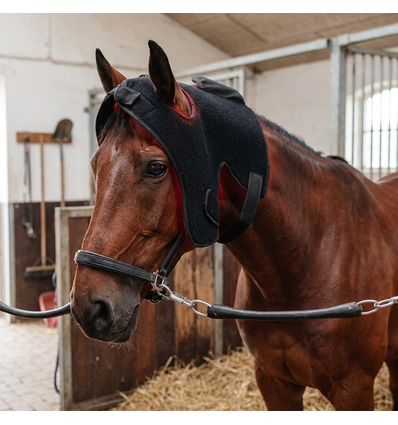 Roodlichttherapie kap voor paarden - Infrarood en rood licht, incl. batterij & powerbank