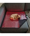 Lichttherapiemat voor hond en kat - rood en nabij-infrarood, 60x60 cm, 60W