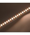 10m 8,5W/m CCT LED strip RA93 - 24V DC, IP20, 192 LEDs per meter