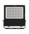 300W LED-schijnwerper met instelbaar wattage - Asymmetrisch, IP66 buiten, IK08, zwart