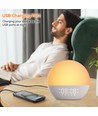 Wake-up Light wekker, zonsopgang-effect - Bluetooth 5.3 speaker, slaapgeluiden, dimbaar