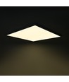 60x60 LED paneel 36W - Hoogte: 10mm, UGR19, incl. Philips driver, witte rand