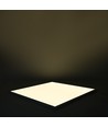 60x60 LED paneel 36W Triac dimbaar - 116lm/w, UGR19, RA92, witte rand