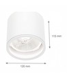 Plafondlamp voor AR111 GU10 - Wit, IP65 buiten, Ø12cm, 11,5cm hoog, aluminium, zonder lichtbron
