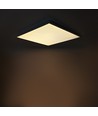 60x60 LED paneel 36W + DALI driver - Hoogte:28mm, UGR19, RA93, dimbaar via DALI, witte rand