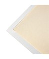 60x60 LED paneel 36W Triac dimbaar - 116lm/w, UGR19, RA92, witte rand