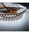 5m 9W/m CCT LED strip RA95 - 24V DC, 400 LED per meter, 8mm breed, 2m kabel