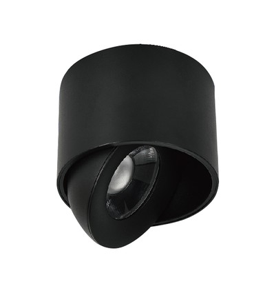 12W LED opbouwspot - IP44, zwart, CCT, Cree chip