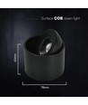 12W LED opbouwspot - IP44, zwart, CCT, Cree chip