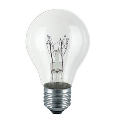 40W gloeilamp E27 helder - 460lm, dimbaar, A55