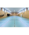 200W sporthal plafondlamp - UGR19, verblindingsvrij, Philips driver