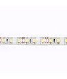 5m 4,2W/m spatwaterdichte LED strip - 12V DC, IP65, 60 LED's per meter