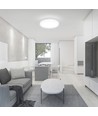24W LED plafondlamp - Ø29,5cm, hoogte: 5,5cm, witte rand
