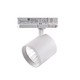 30W 3-fasen dimbare RA90 spanningsrailspot - 175 lm/W, 38 graden, wit
