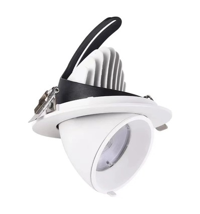 30W Ø16,5cm Downlight - Zaagmaat: Ø15 cm, Afmetingen: Ø16,5 cm, 4100lm, Verstelbare hoek
