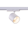 30W 3-fase groei-railspot - Wit