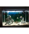 1m 15W Alu profiel - 24V DC, IP65, Waterdicht, met stekker