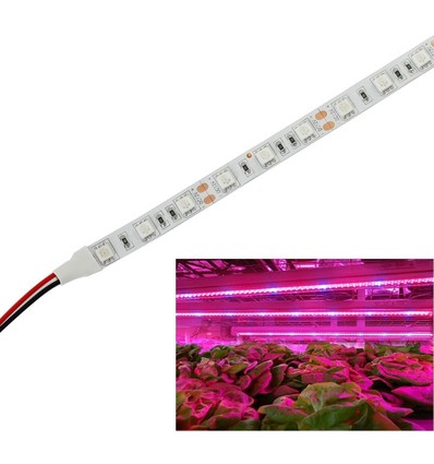 9,6W/m spatwaterdichte groe LED-strip - 5m, 60 LED per meter, IP65