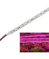 9,6W/m spatwaterdichte groe LED-strip - 5m, 60 LED per meter, IP65