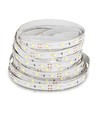 5m 4,2W/m LED-strip - 12V DC, 60 LED's per meter