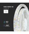 5m 4,8W/m spatwaterdichte LED strip - IP65, 30 LED
