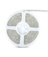 5m 4,8W/m RGB spatwaterdichte LED-strip - 12V DC, IP65, 30 LED's per meter