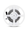 5m 8W/m LED-strip - 12V DC, 120 LED's per meter, 8mm breed