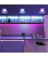 5m 7W/m RGB LED-strip - 12V DC, IP20, 60 LED's per meter