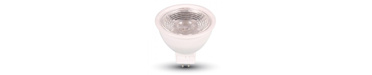 MR16 / GU5.3 Lampen