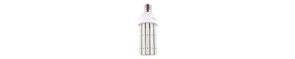 Speciale Lampen