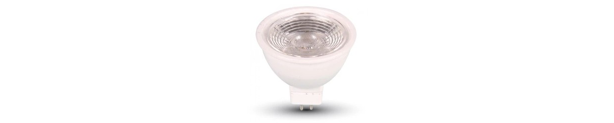 MR16 / GU5.3 Lampen