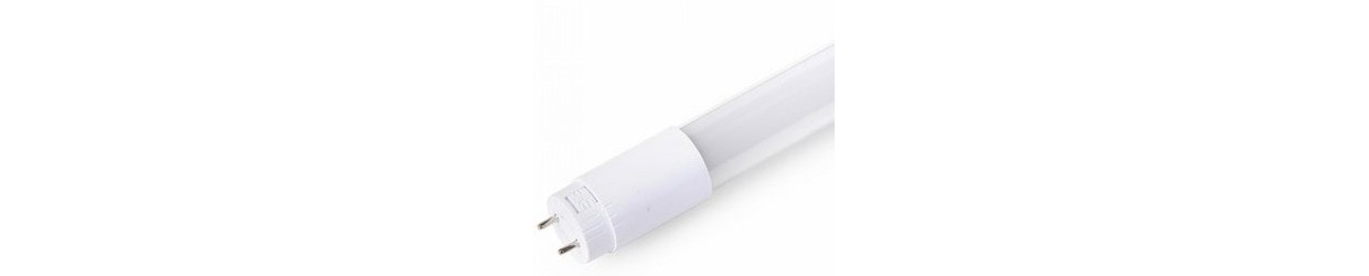 T8 LED Buizen