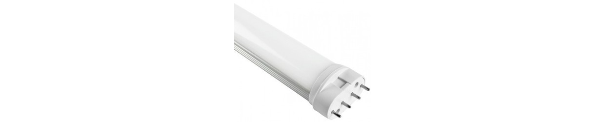 2G11 LED Buizen