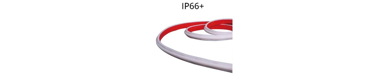 Waterdichte Enkelkleurige LED Strips 12V/24V