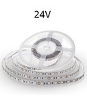 Enkelkleurige LED Strips 24V
