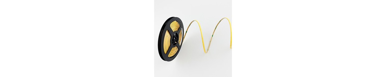 CCT LED Strips 24V