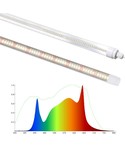 LED Kweeklampen