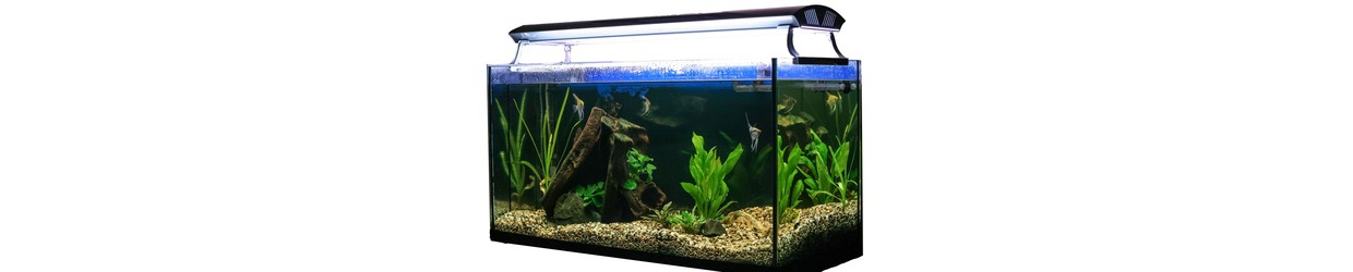 Aquariumverlichting