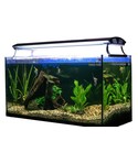 Aquariumverlichting