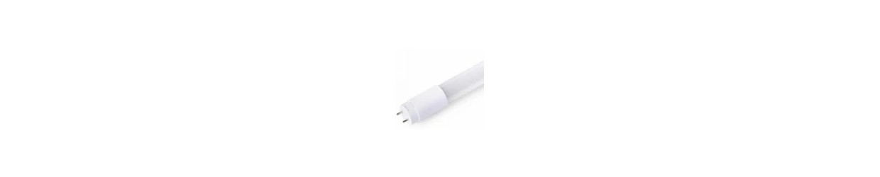 T8 LED Buizen
