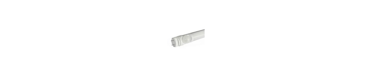 T8 LED Buizen met Sensor