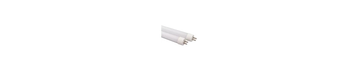 T5 LED Buizen