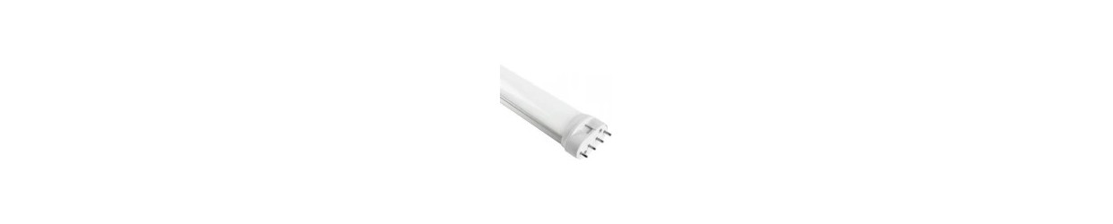 2G11 LED Buizen