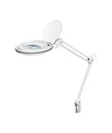 Loepenlampen